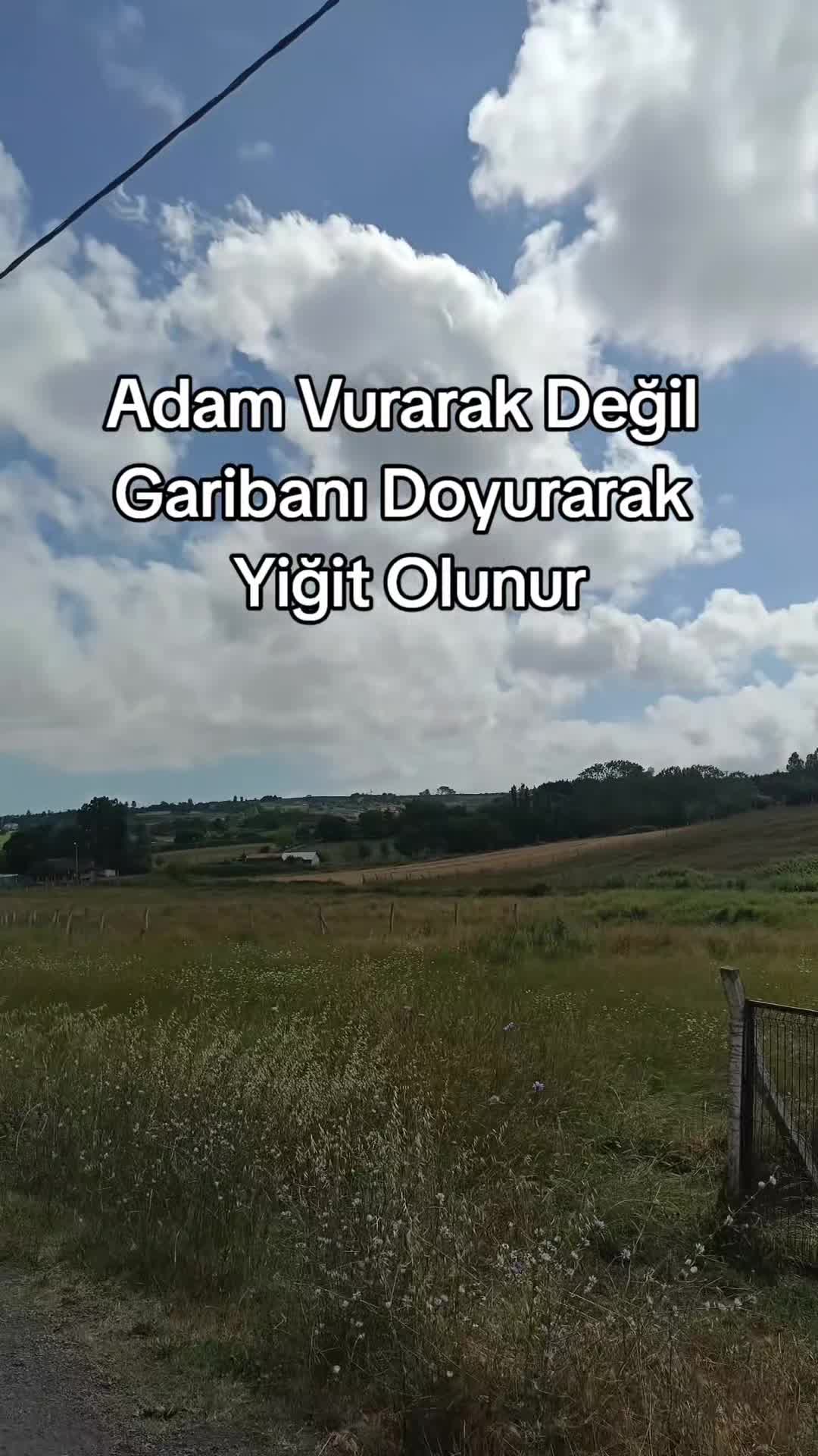 @Damar s&ouml;zler