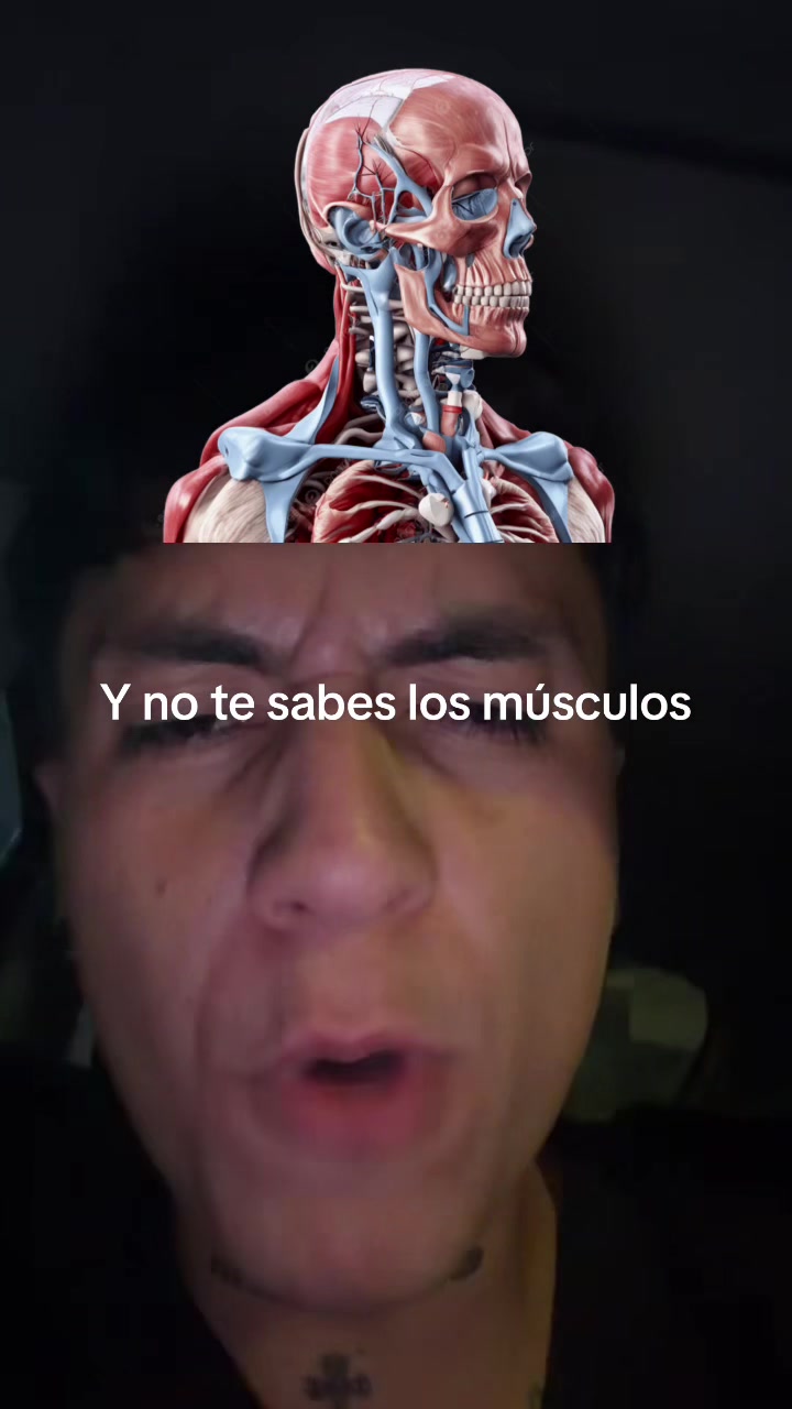 @ENDOBOY