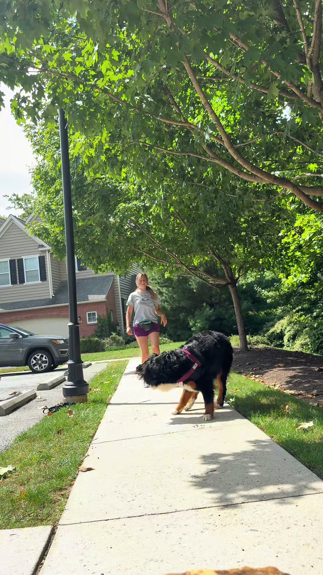 @KVK9