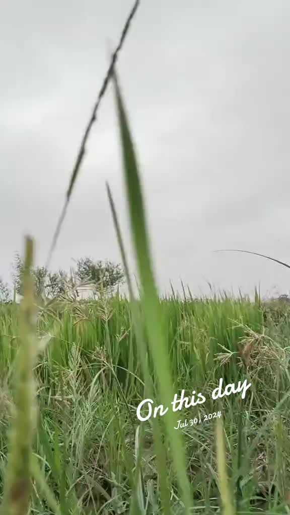 @Mukesh kumar kolhi