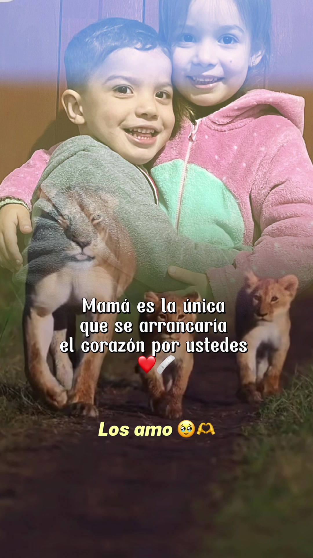 @Tami Viera