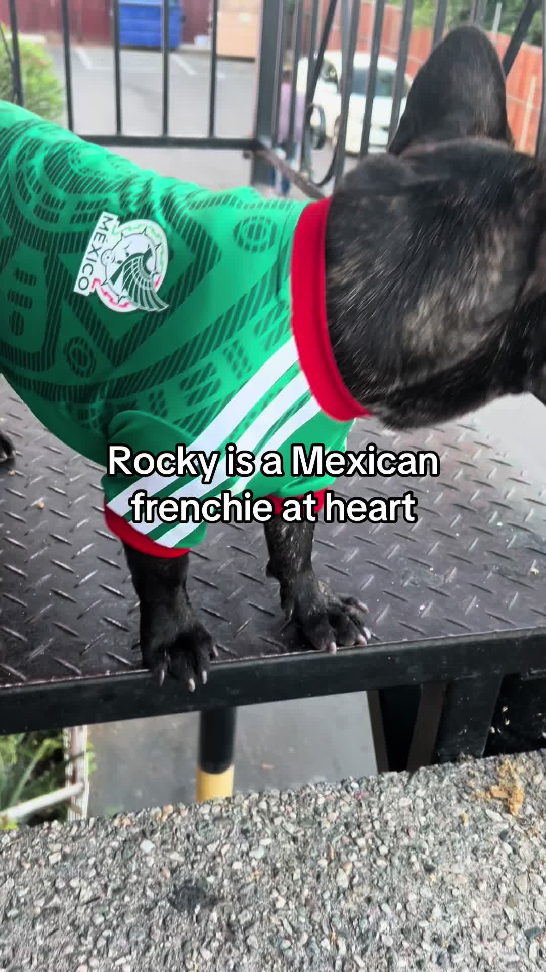 @Dianita1998