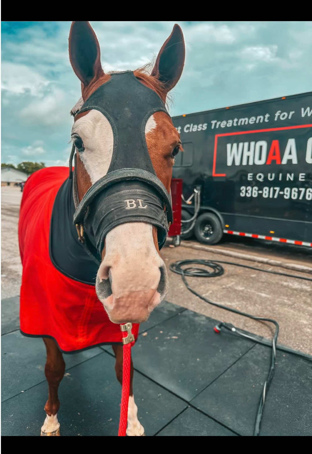 @Whoaa.Co