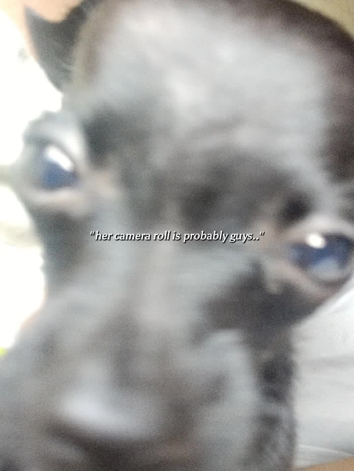 @«_★Фэйбей★_»