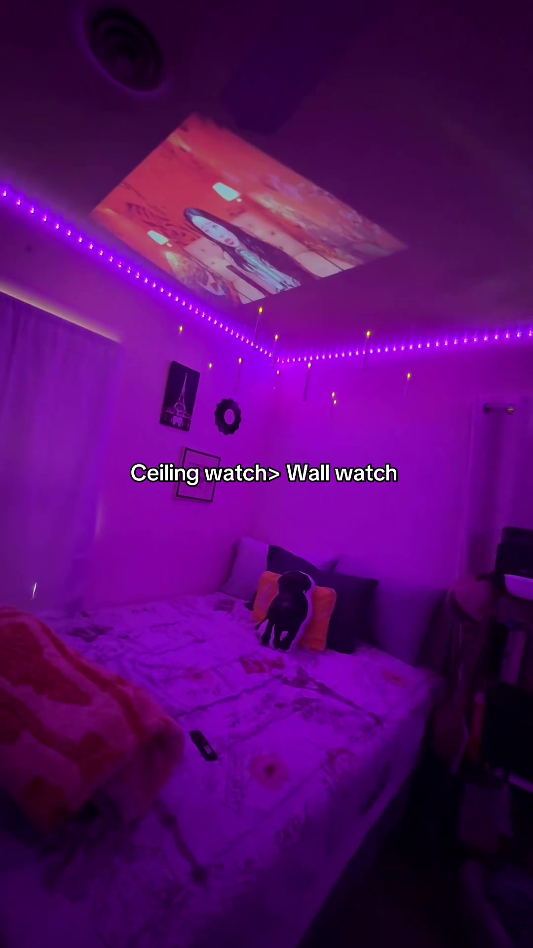 @DoraPalm 💖