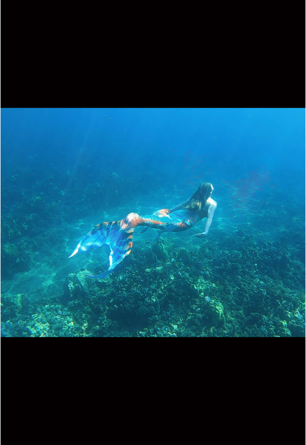 @💙Ruby🌊