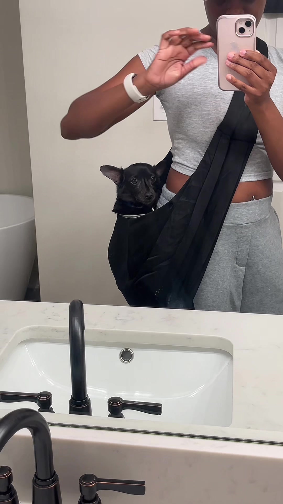 @Blackjack_Chihuahua