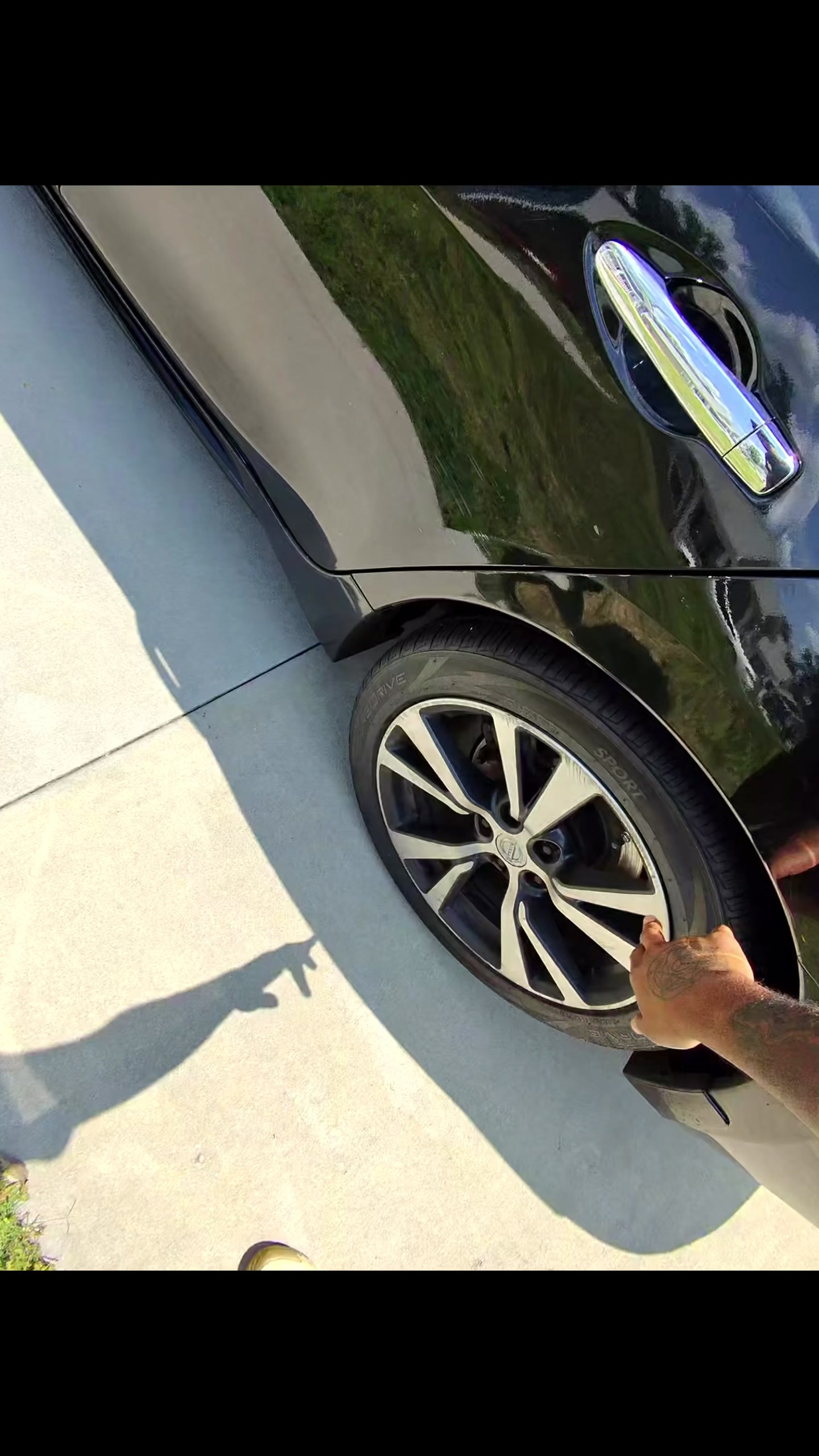 @Top&ensp;Dog&ensp;Detailing