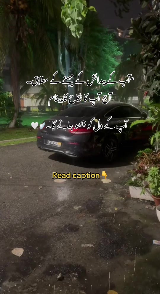 @gulll496