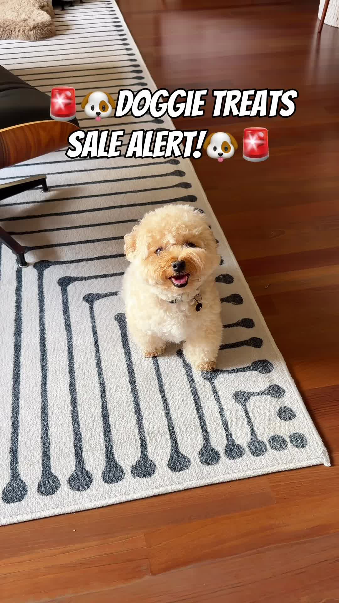 @costcodeals