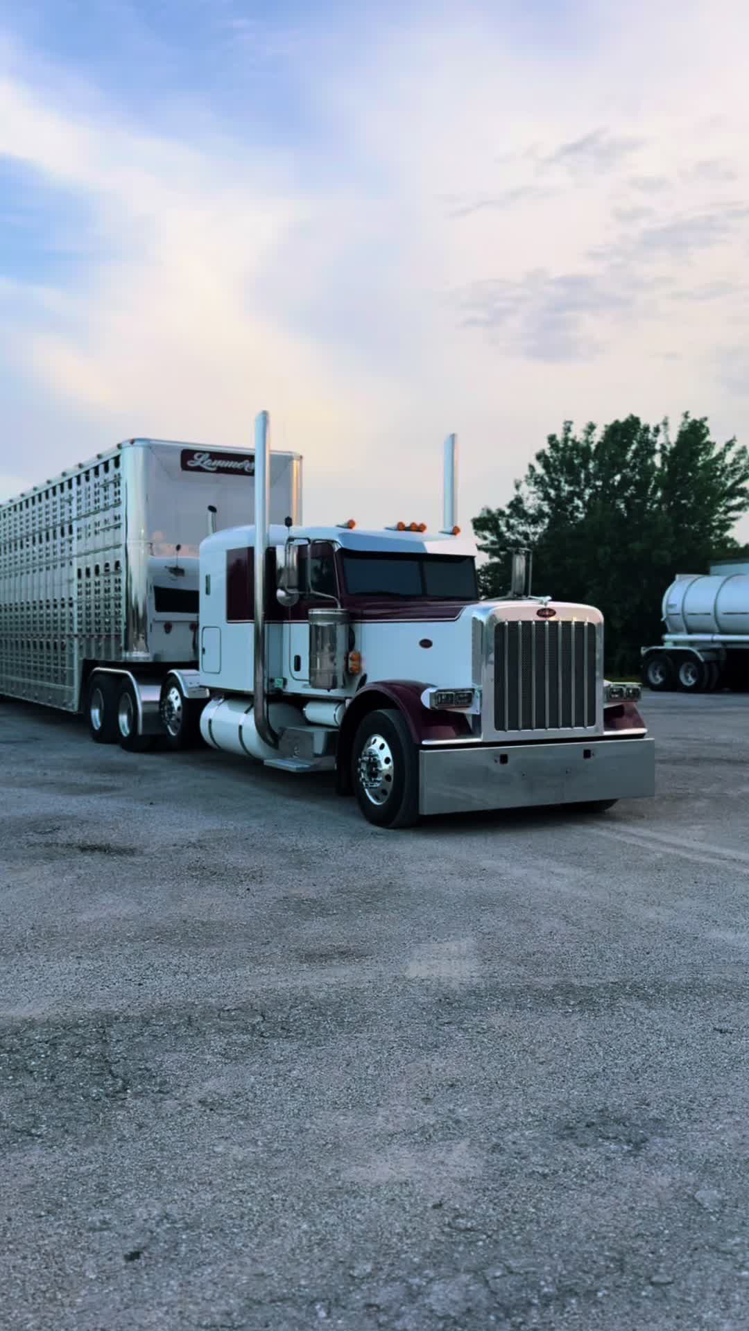 @jb_cattle