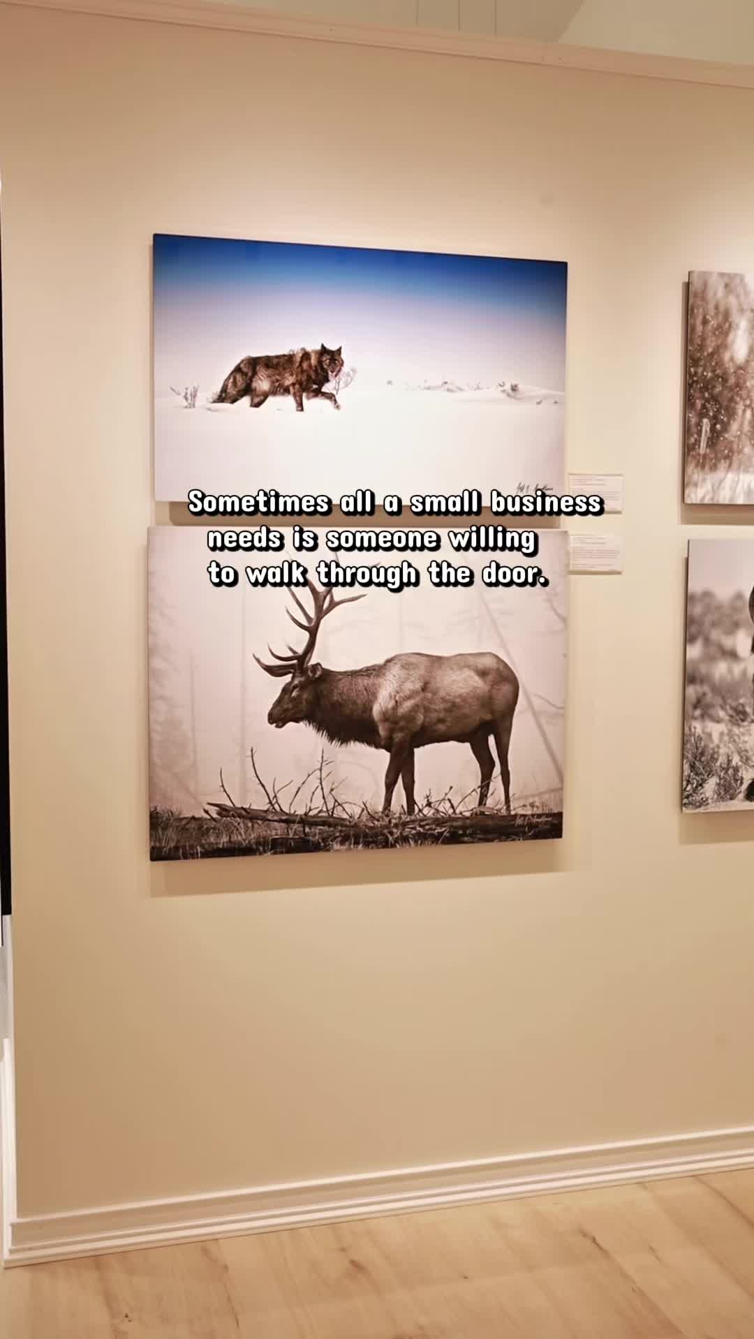 @Gallery Teton Reverra
