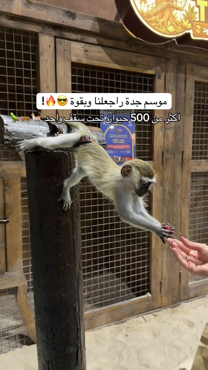 @هتون | تغطيات جدة و المدينة 📸