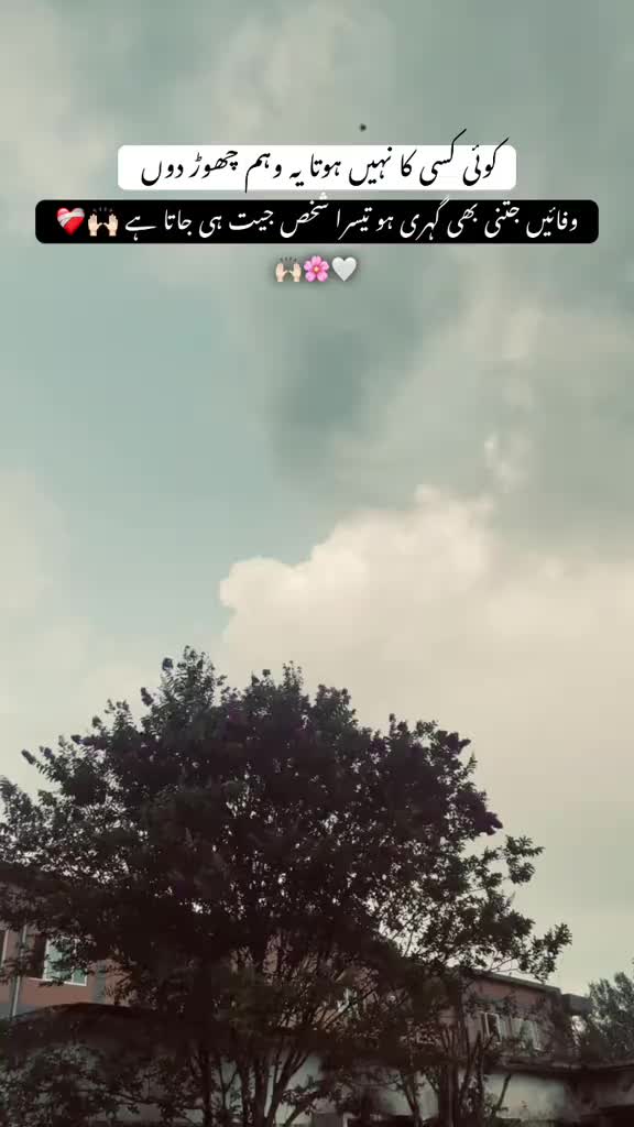 @Tayyab Khan