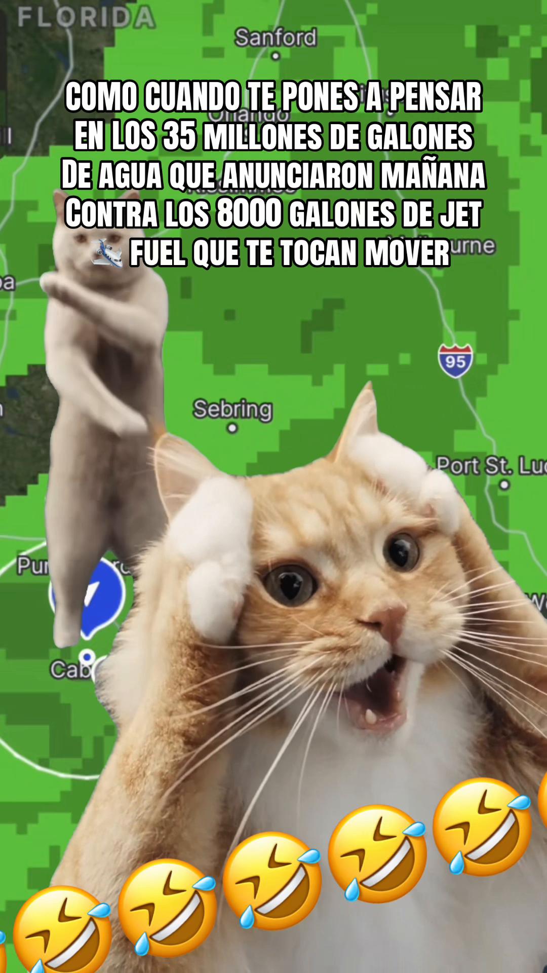 @elchacho35