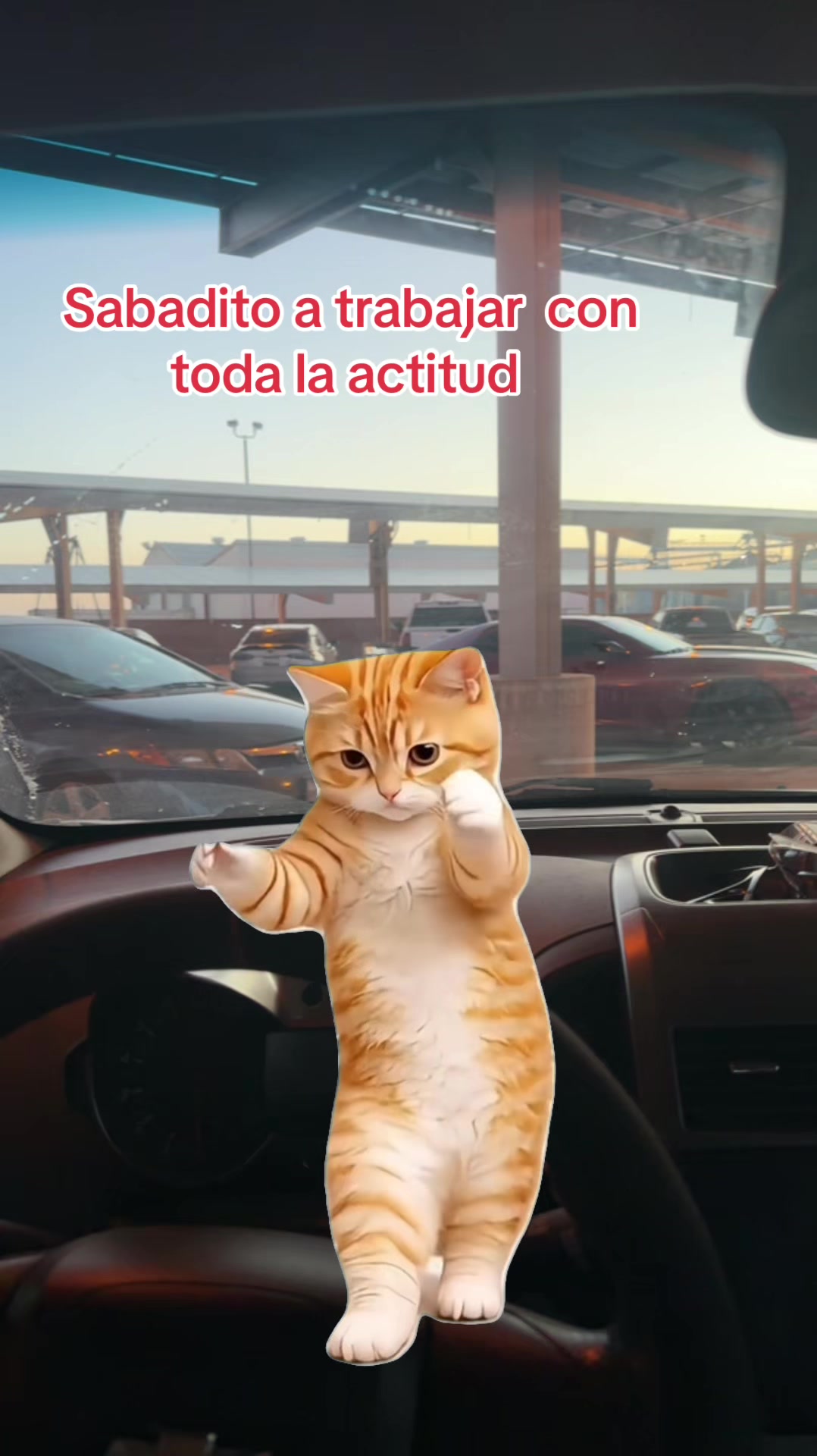 @🤪💯LOQUITA 💯🤪