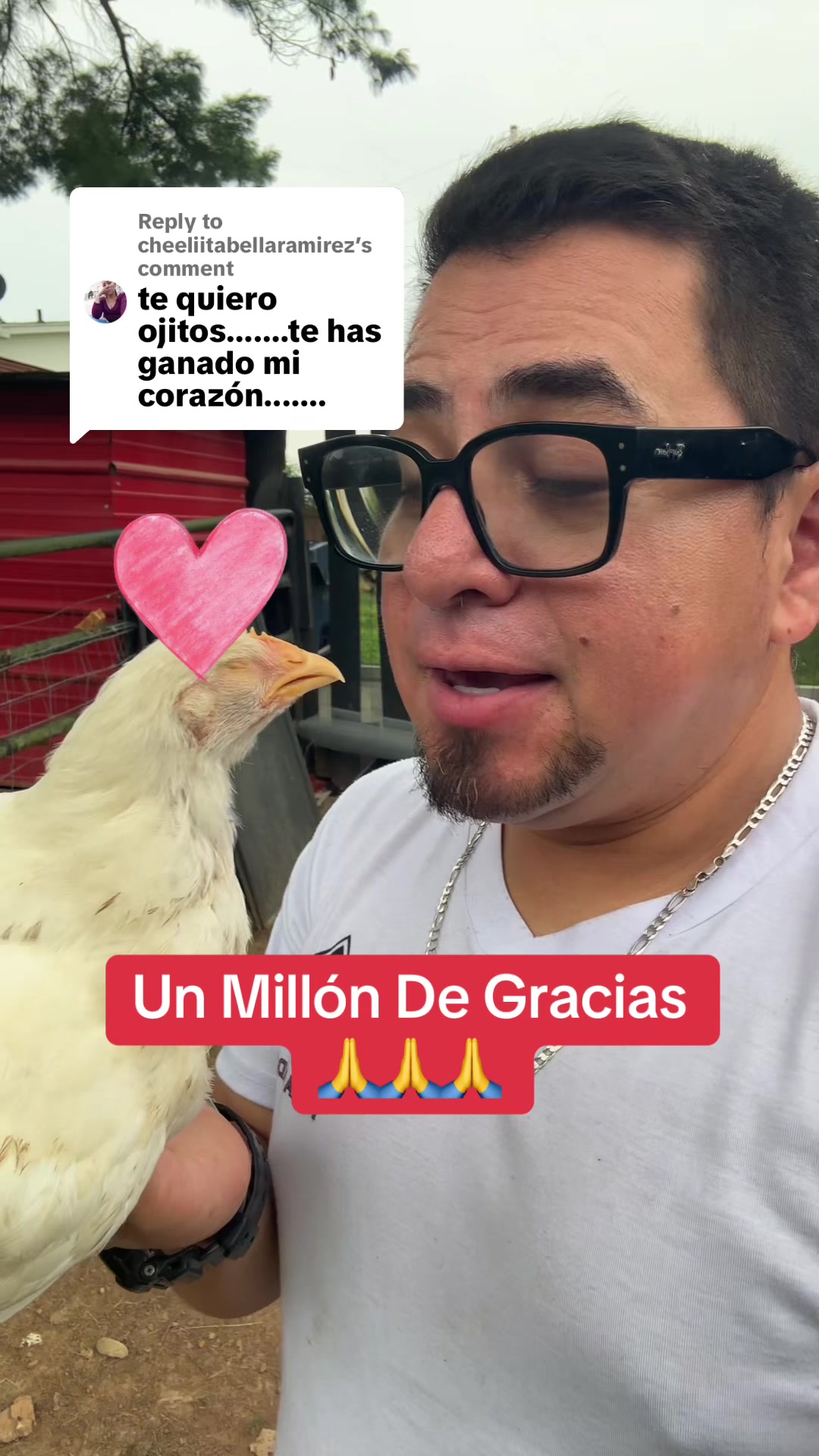 @WILSON DÍAZ