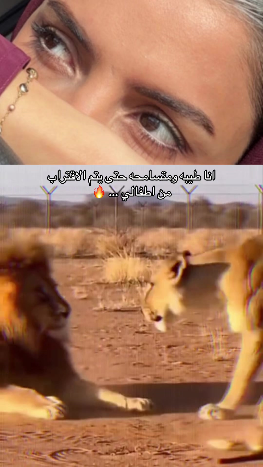 @SARA