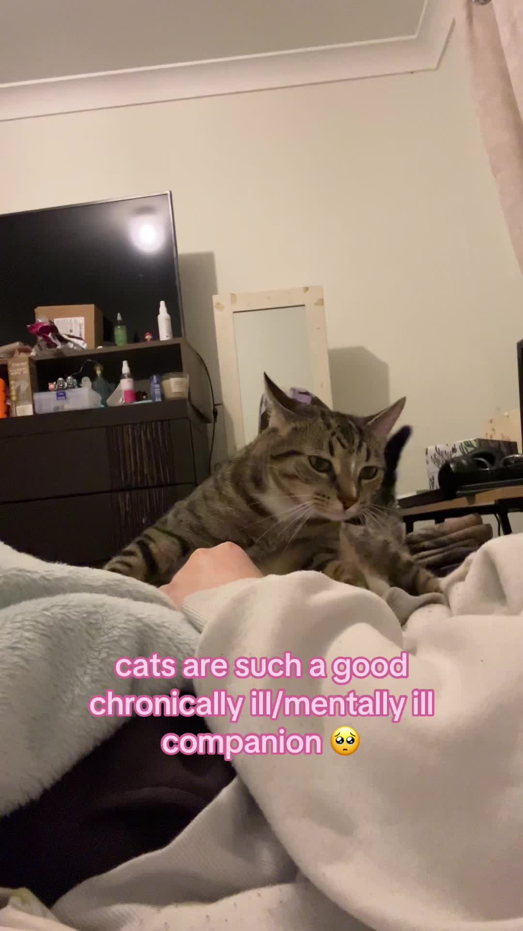 @dakota | chronic illness 🏥🩺