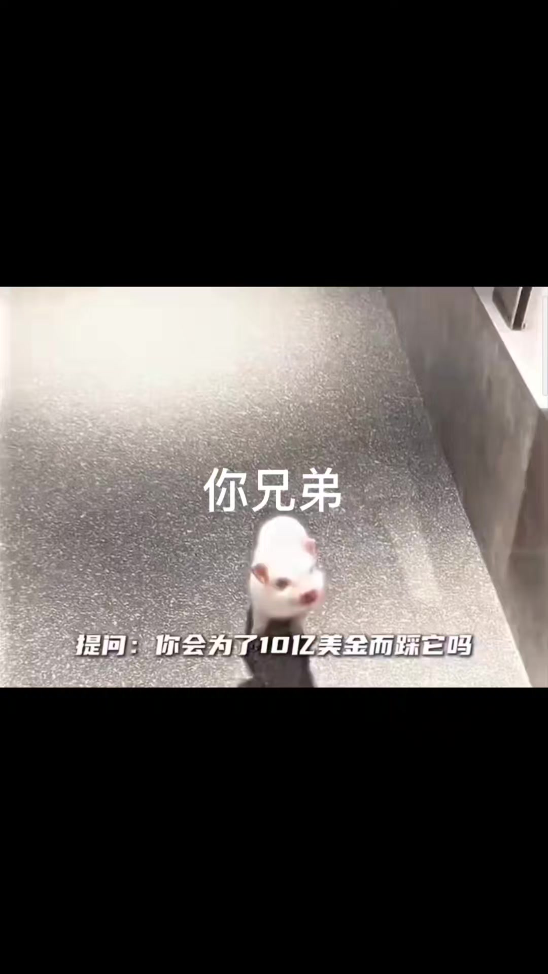@叫我翃(技輸煮棒)