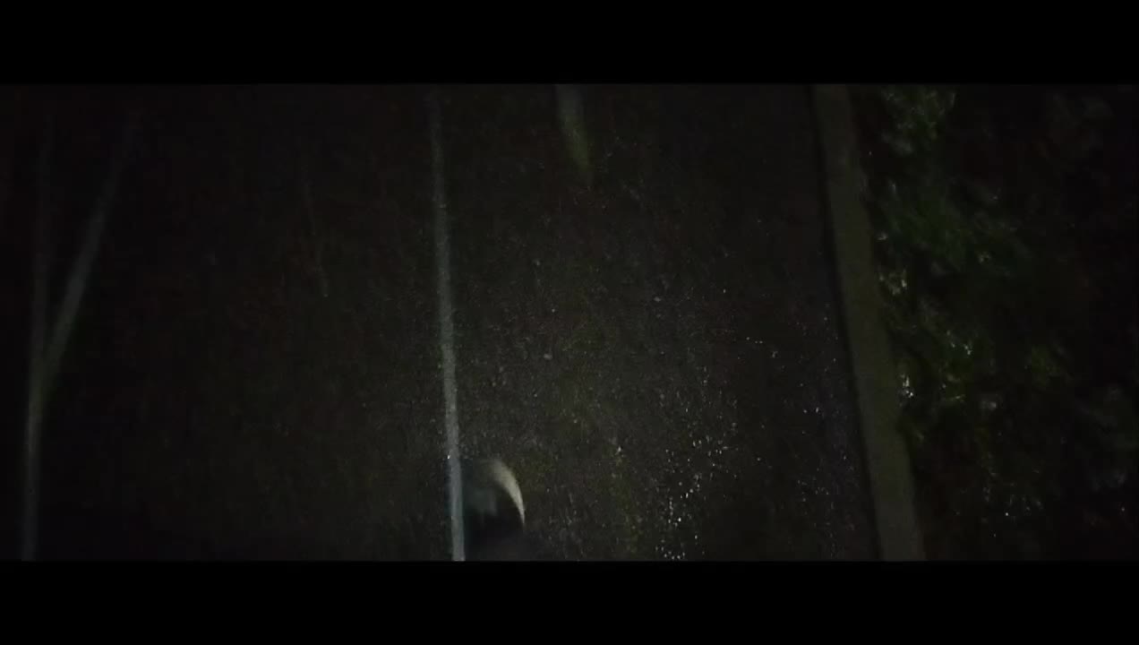@RazborZavalov