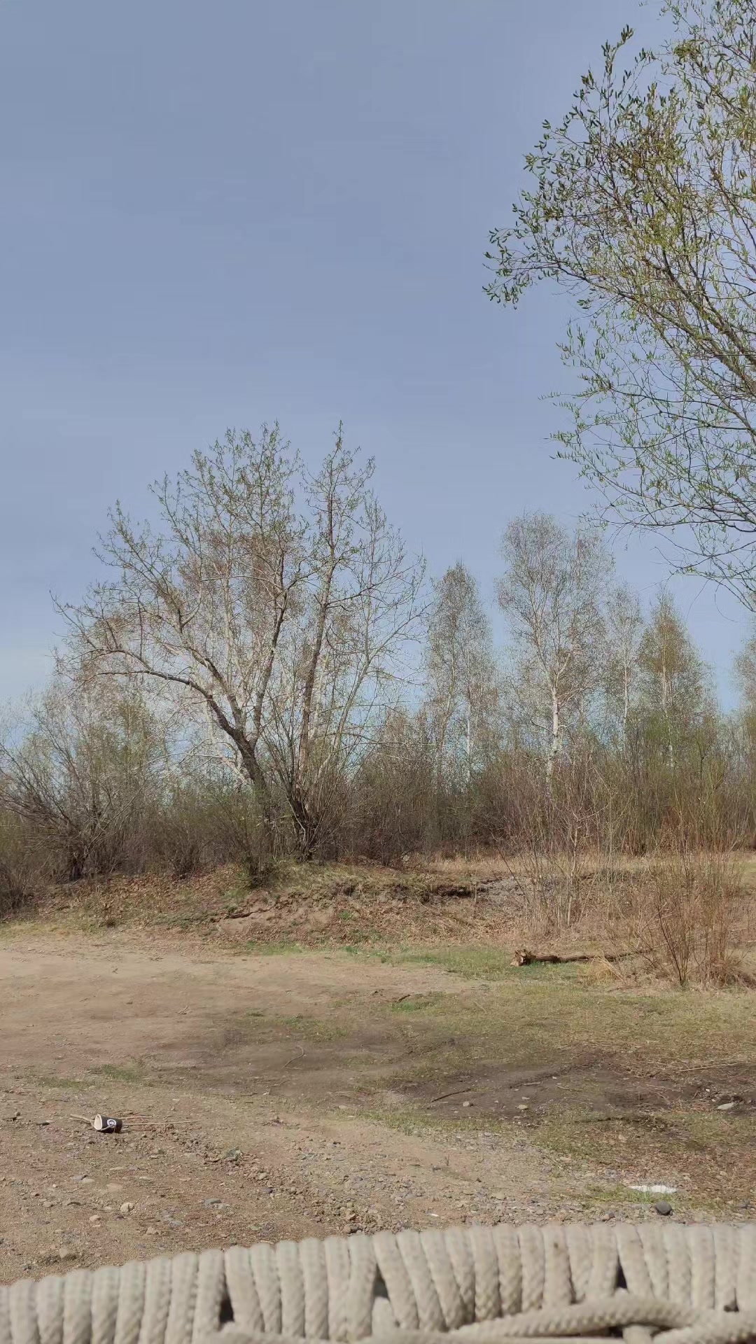 @Король