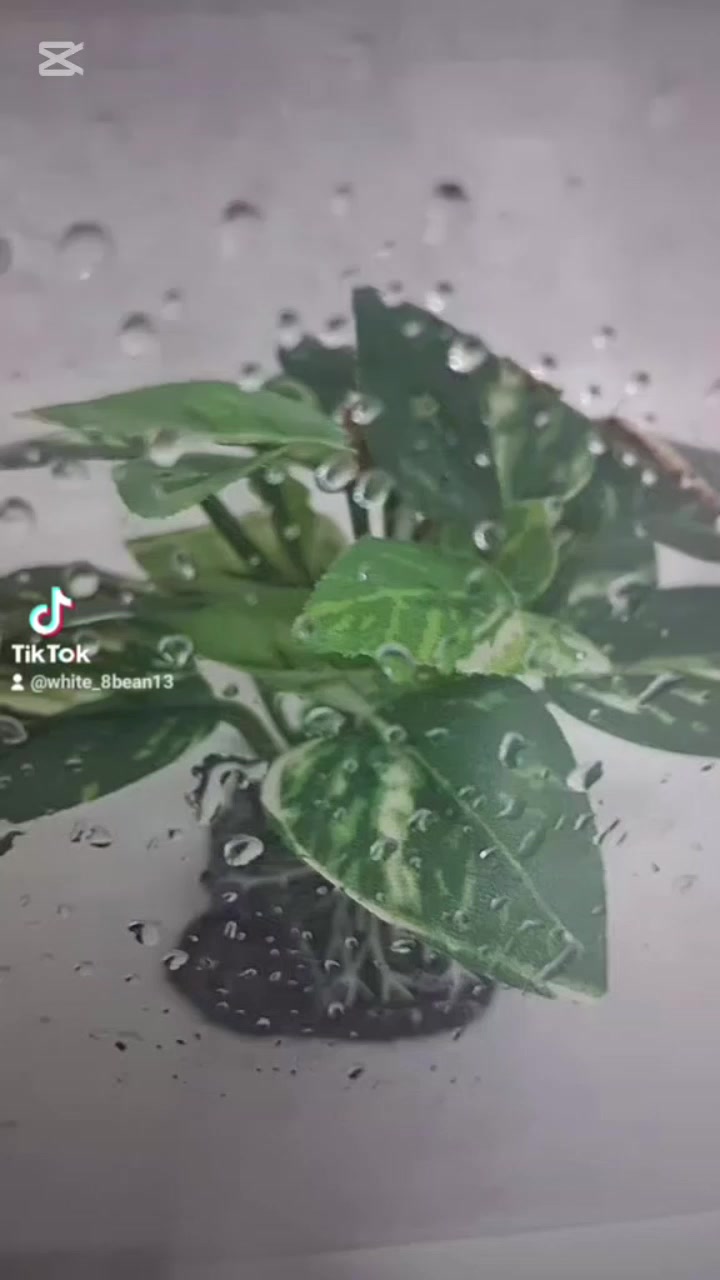 @구름라떼⛅