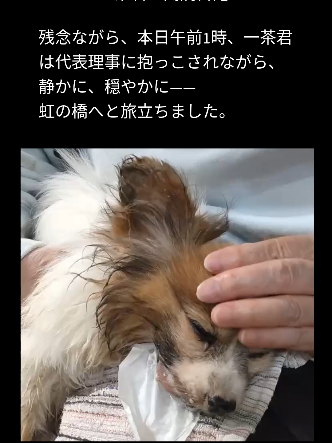 @NPO法人エターナル・ホーム