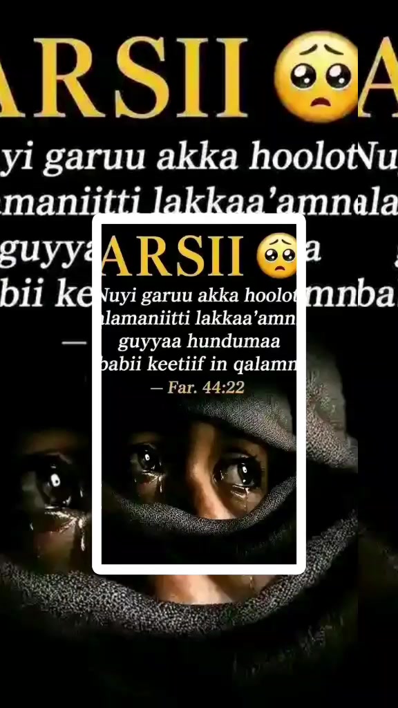 @masi  hadhaa Tsiyoon matiyoos
