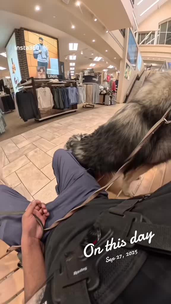 @Neko, Tokahli and Bear