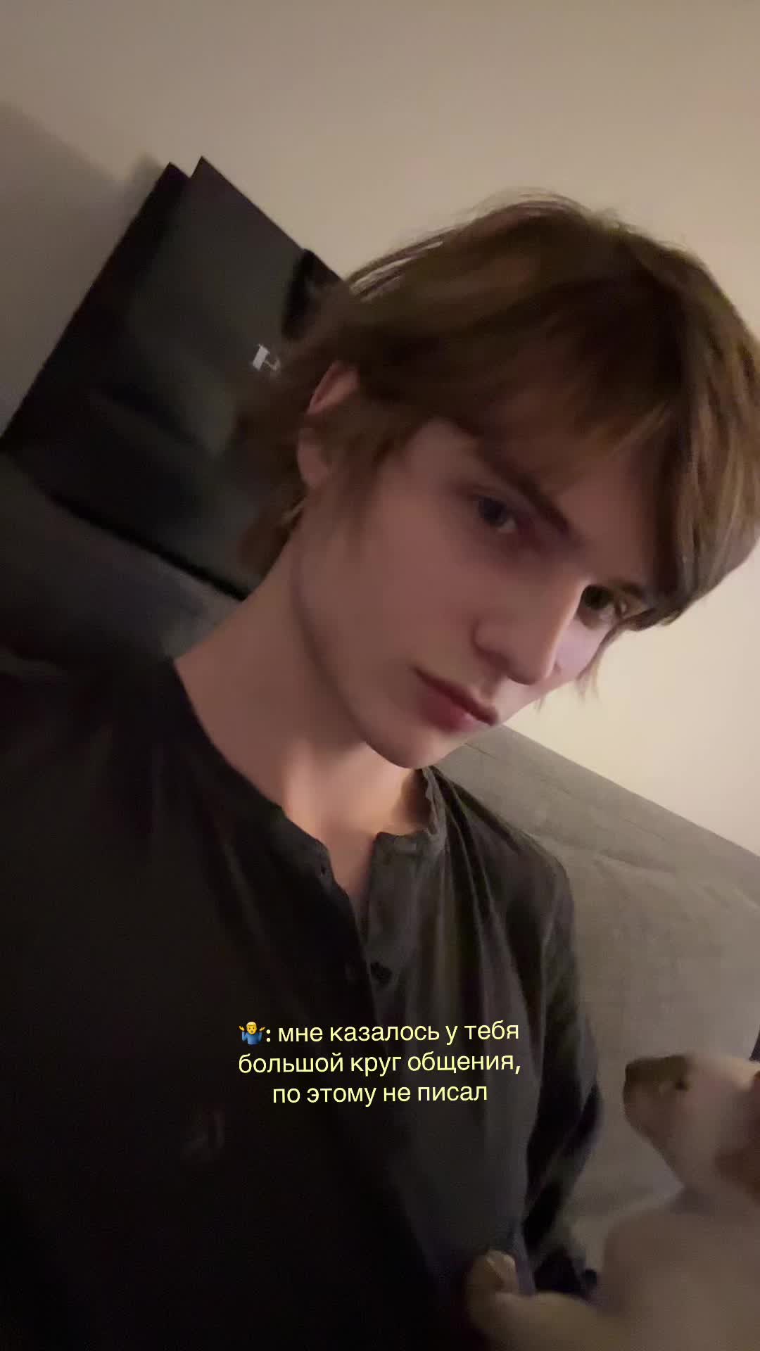 @дигримис