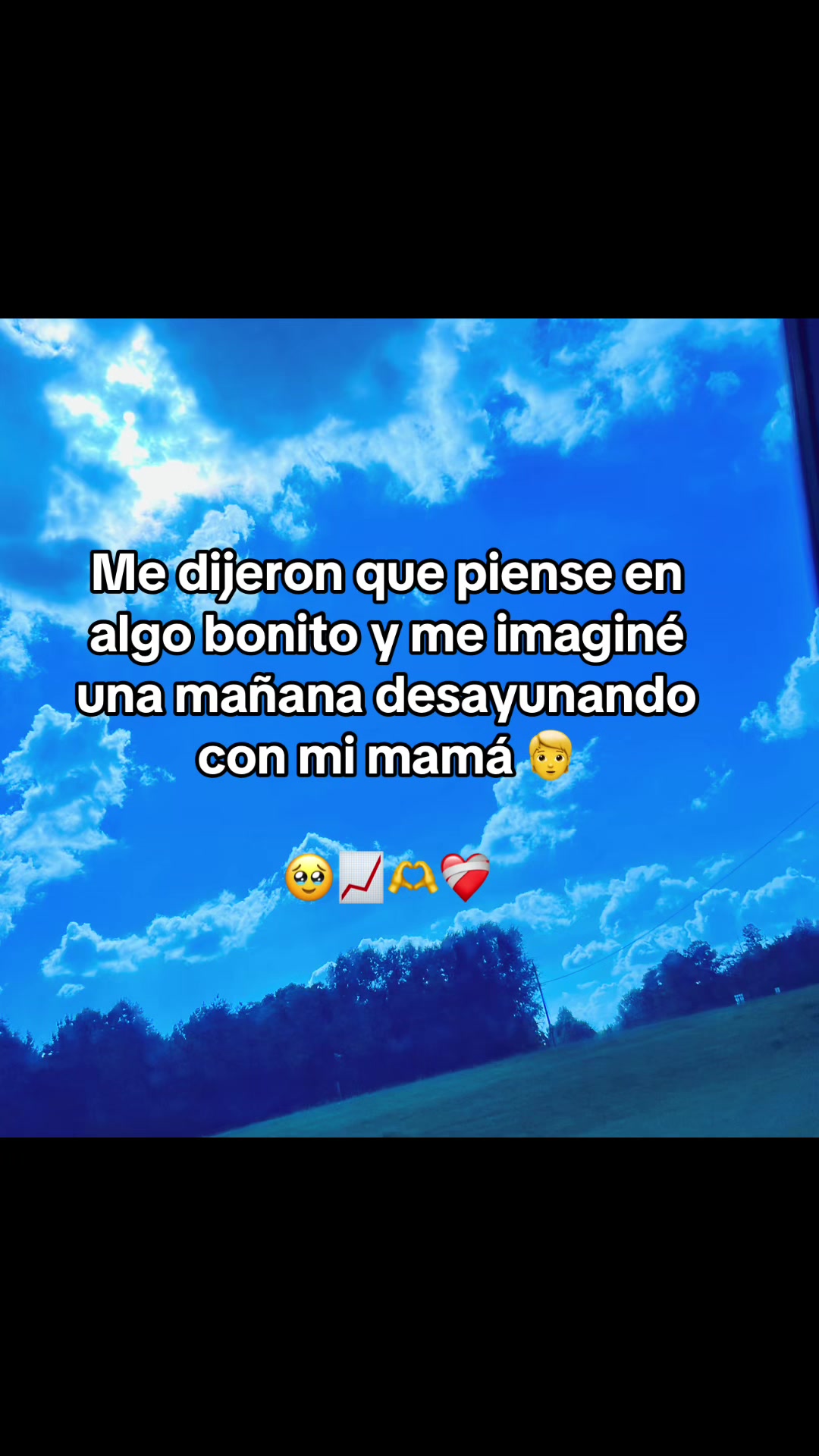 @Flory G 🌺