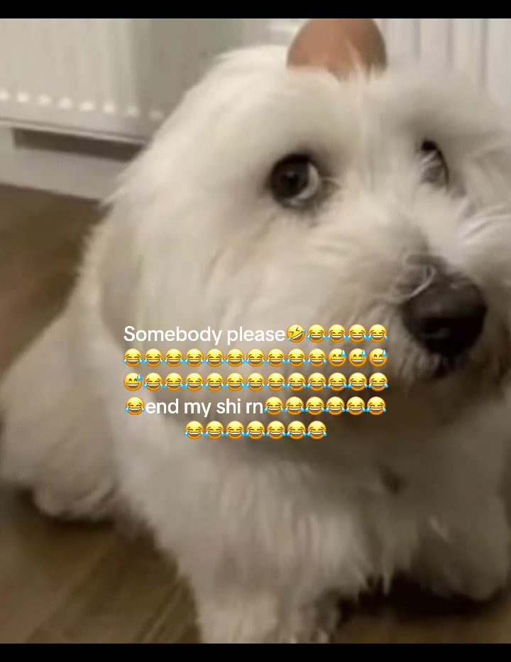@￶