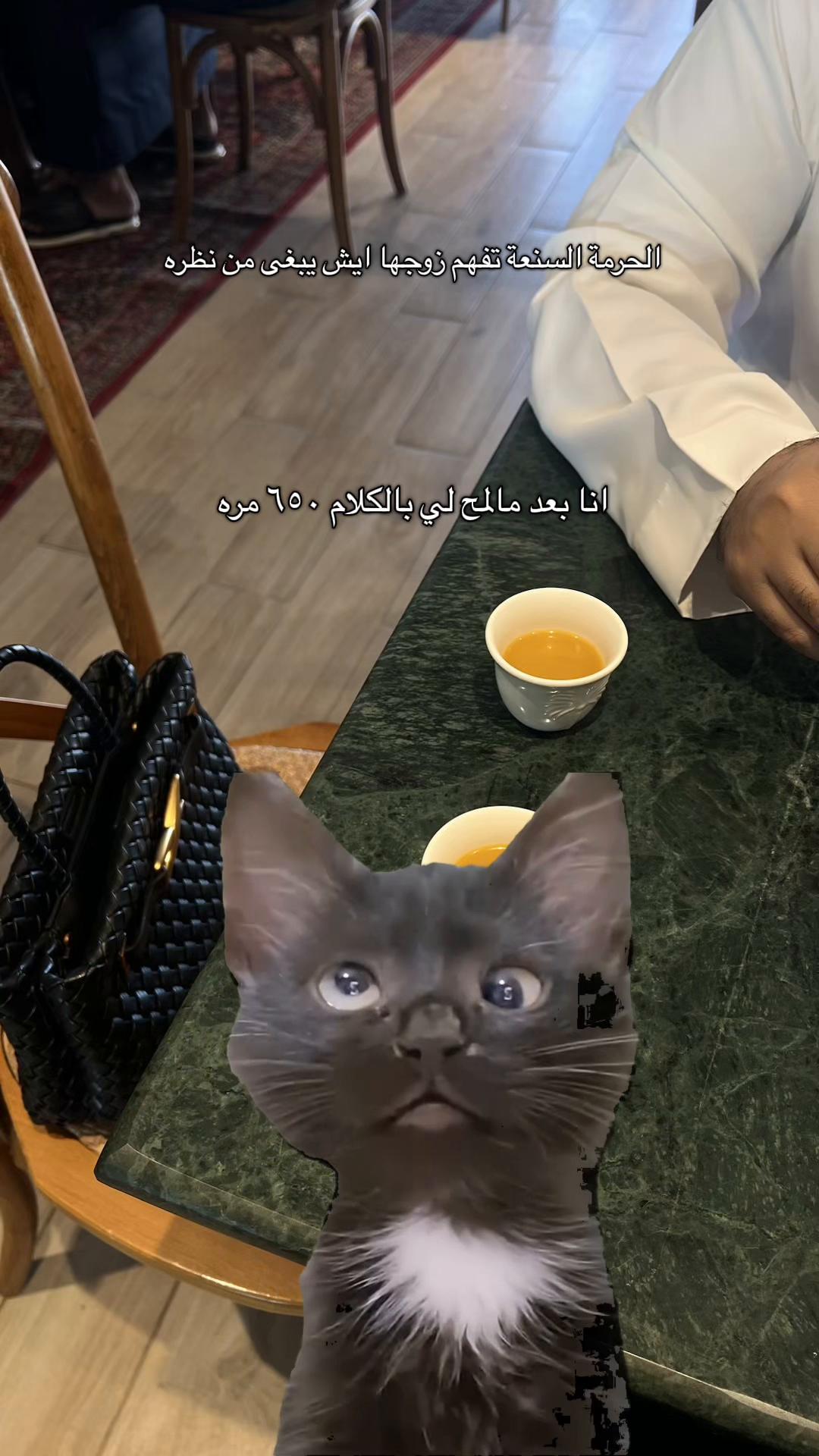 @بلوقر شيري🍒| مرخصة إعلامياً