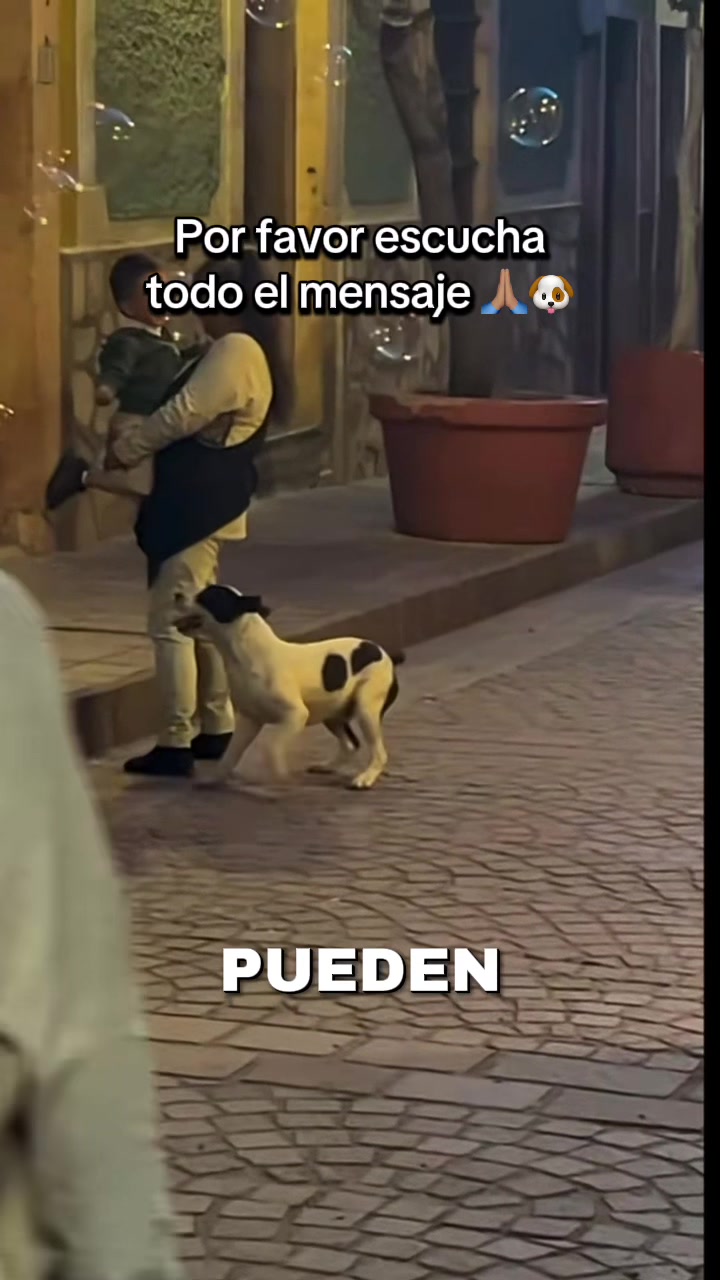 @CurioTemaS