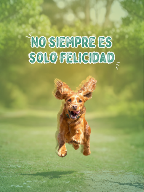 @Pancho Cavero