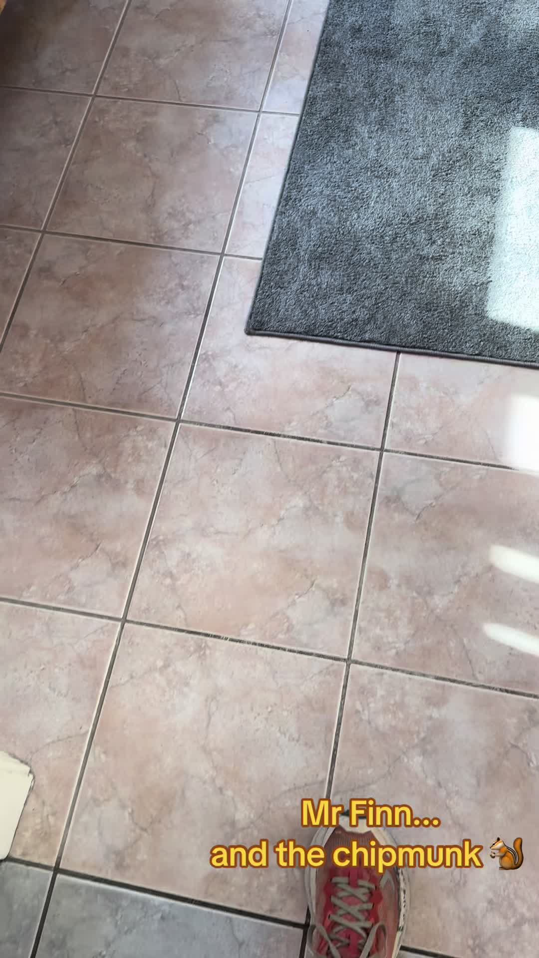 @dee.k64