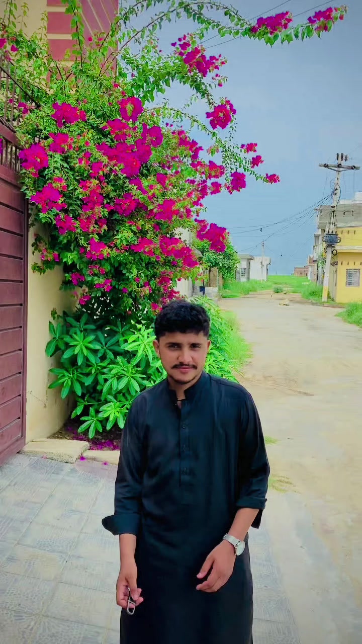 @zainali34626
