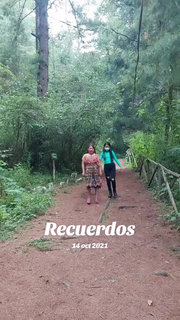 @Gloria Tzoc