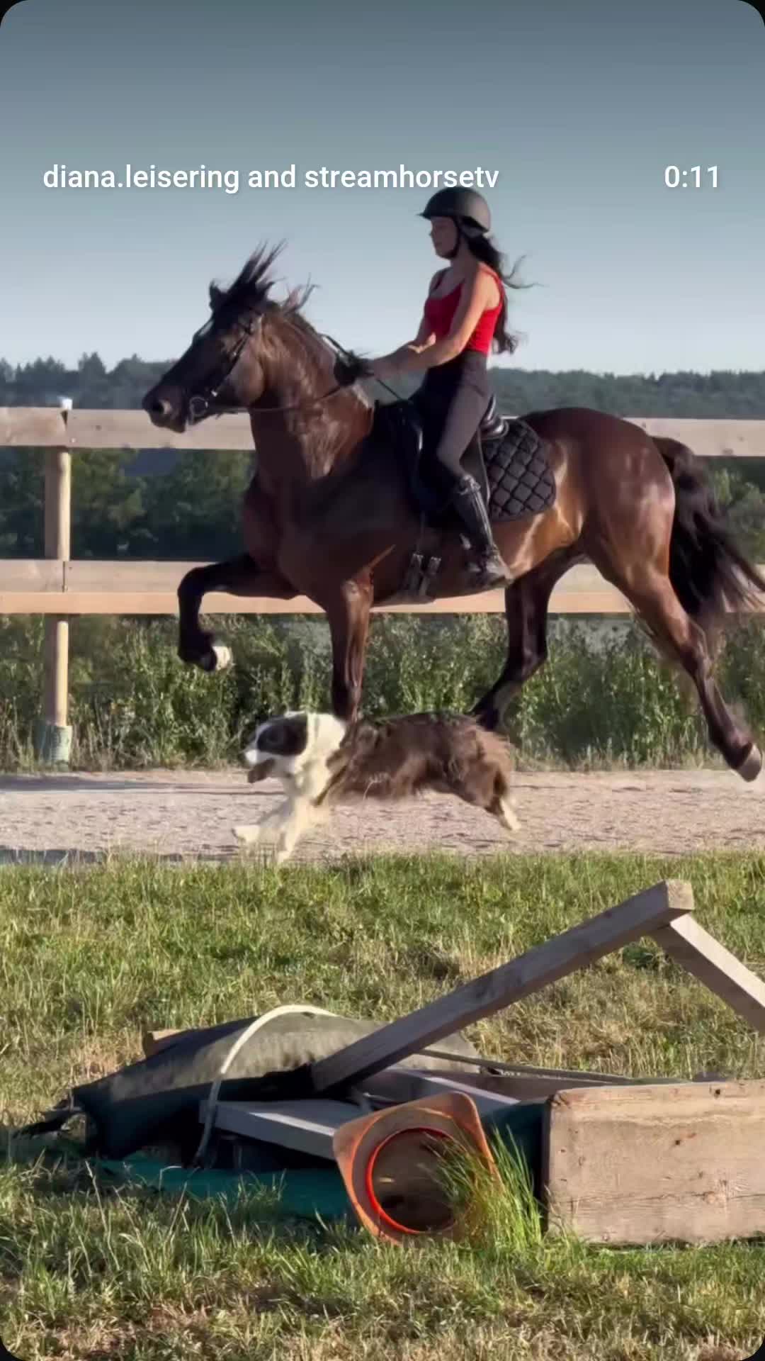 @streamhorse