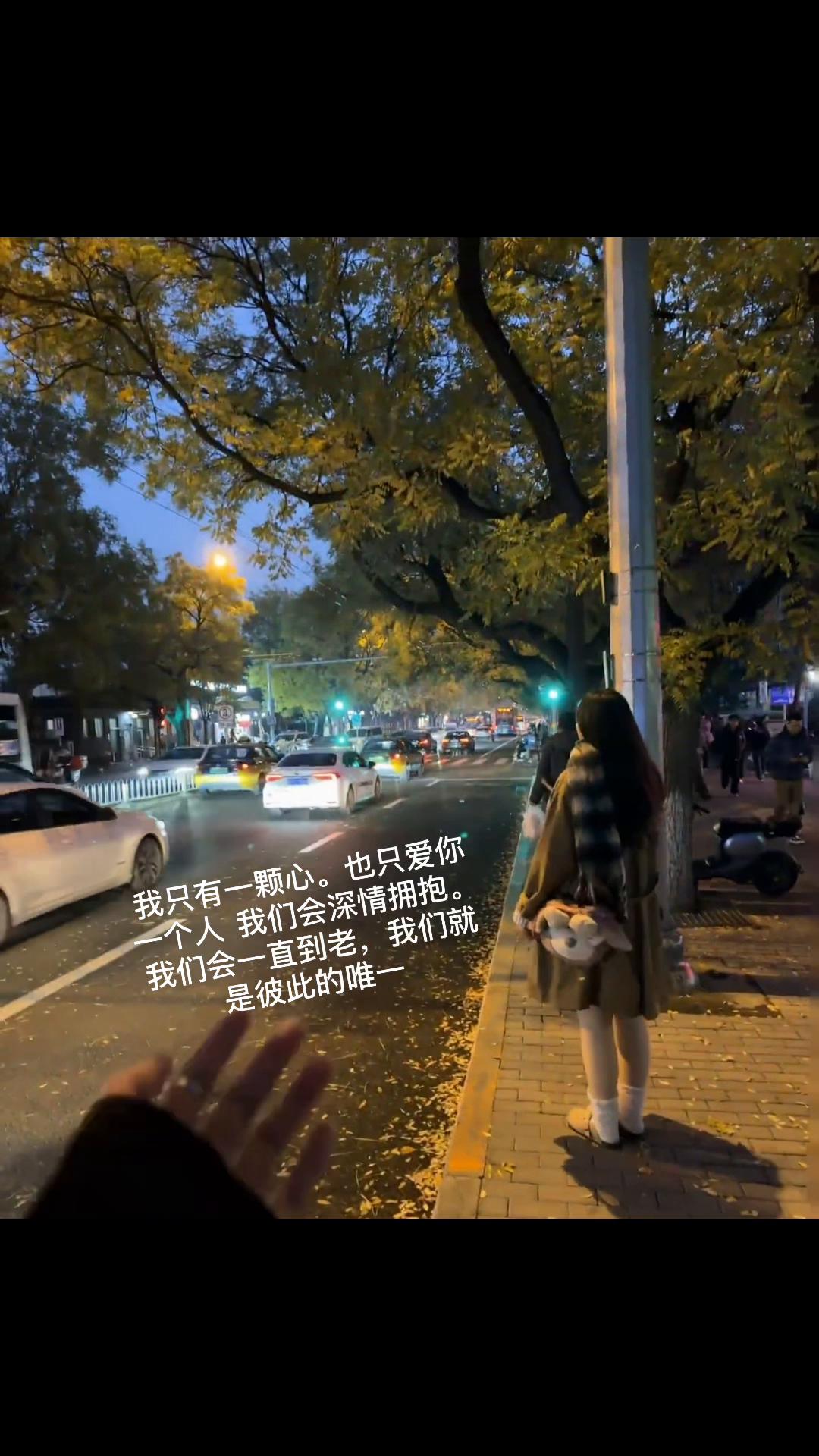 @灰太狼