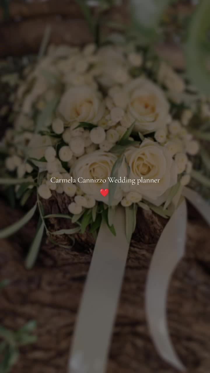 @Carmela Cannizzo W.Planner.