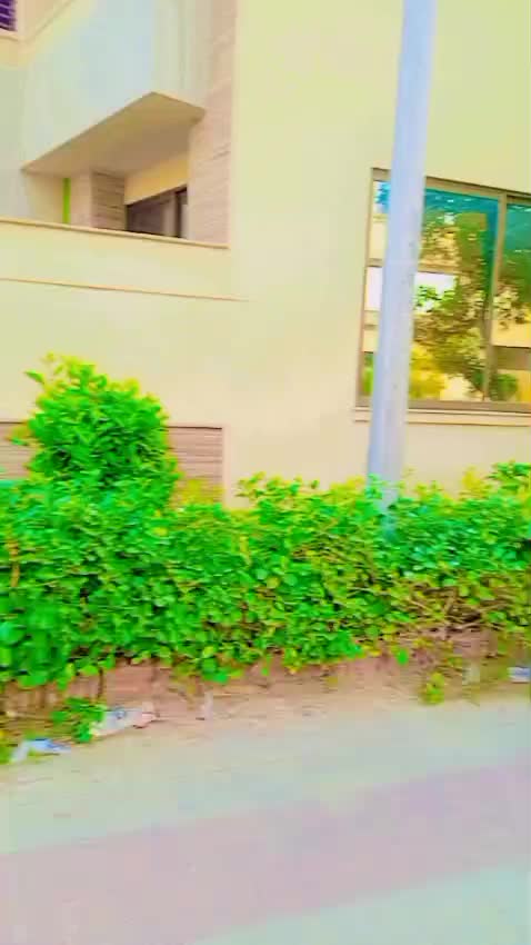 @lanjwani 222