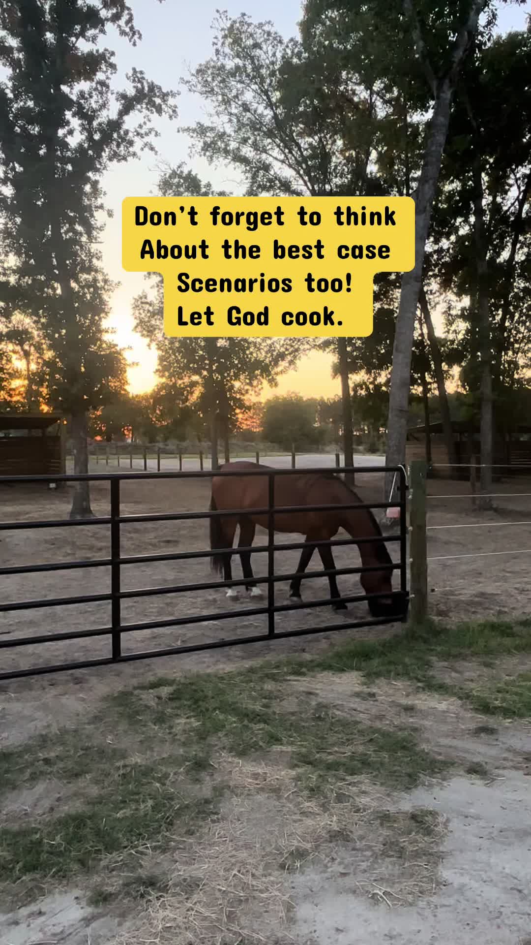 @itiswellstables