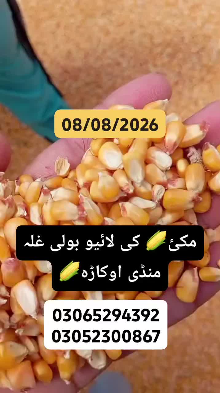 @Choudhary Nabeel Sab😘