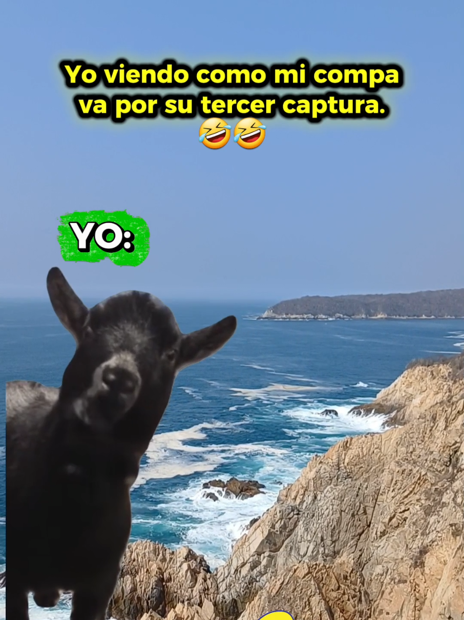 @CURRICANESHUATULCO