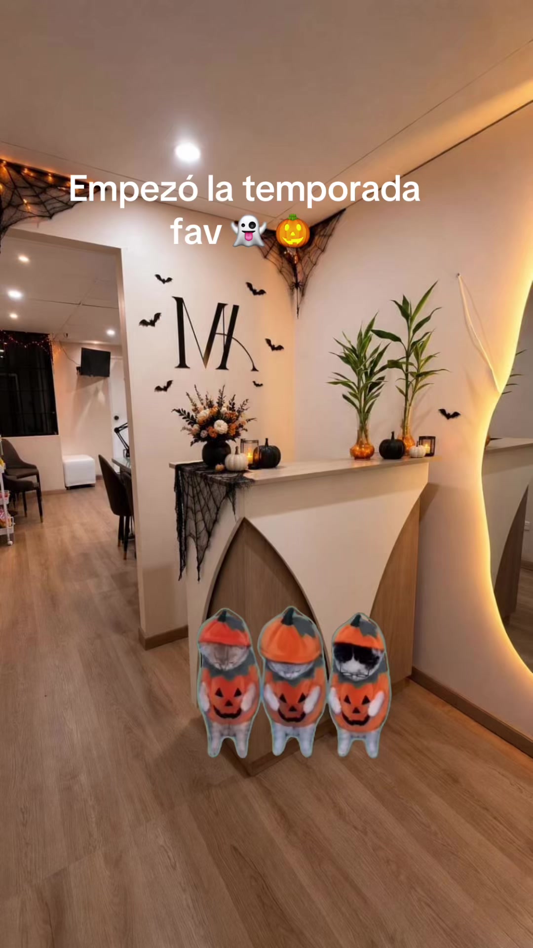 @MACA BEAUTY SALÓN