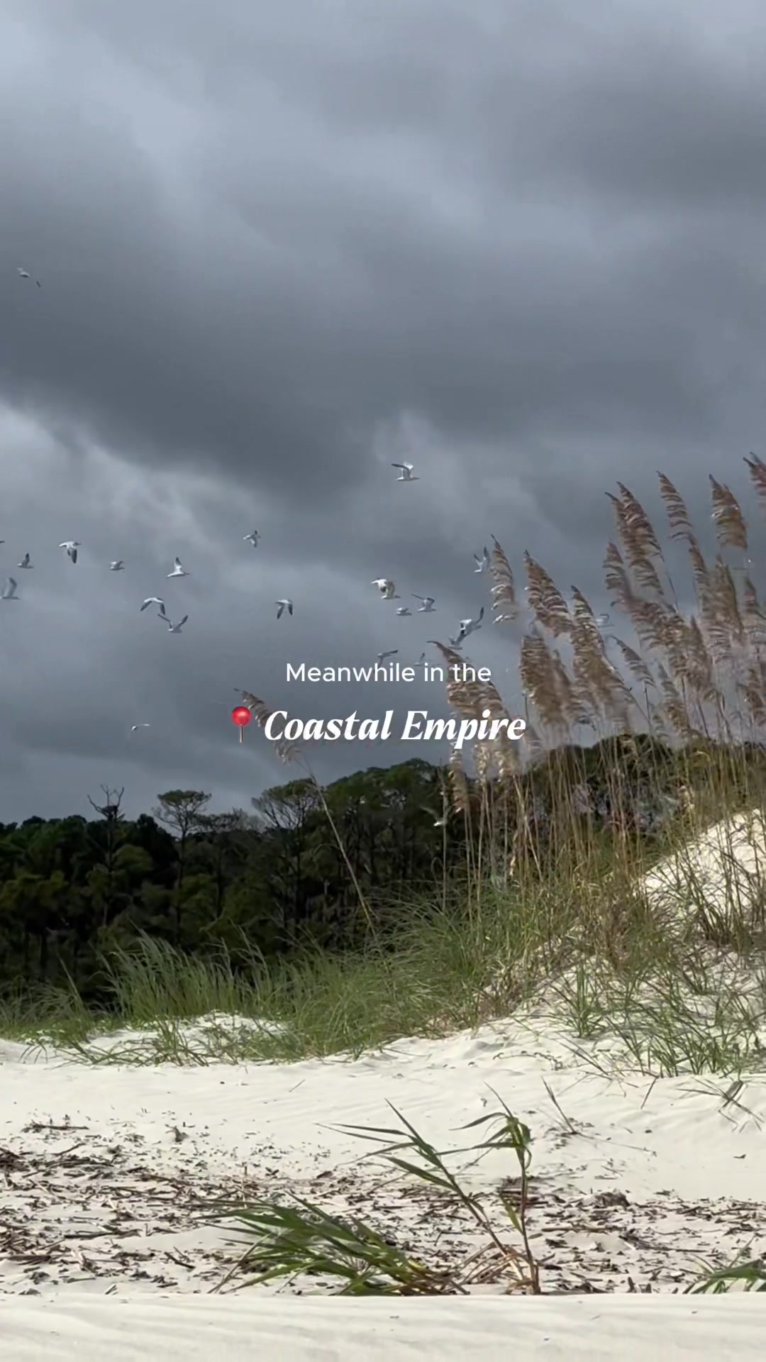 @.coastal.plain
