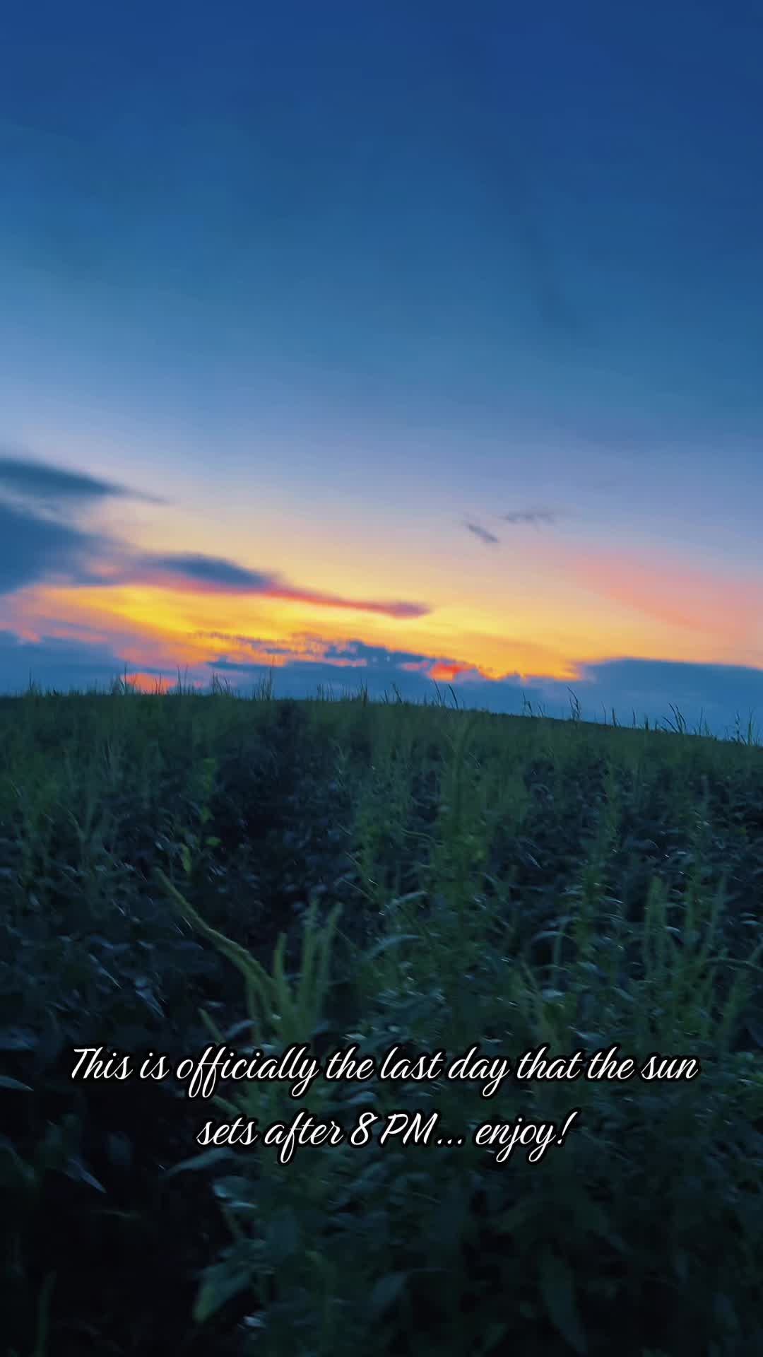 @Danigurl🦮🏇🌅