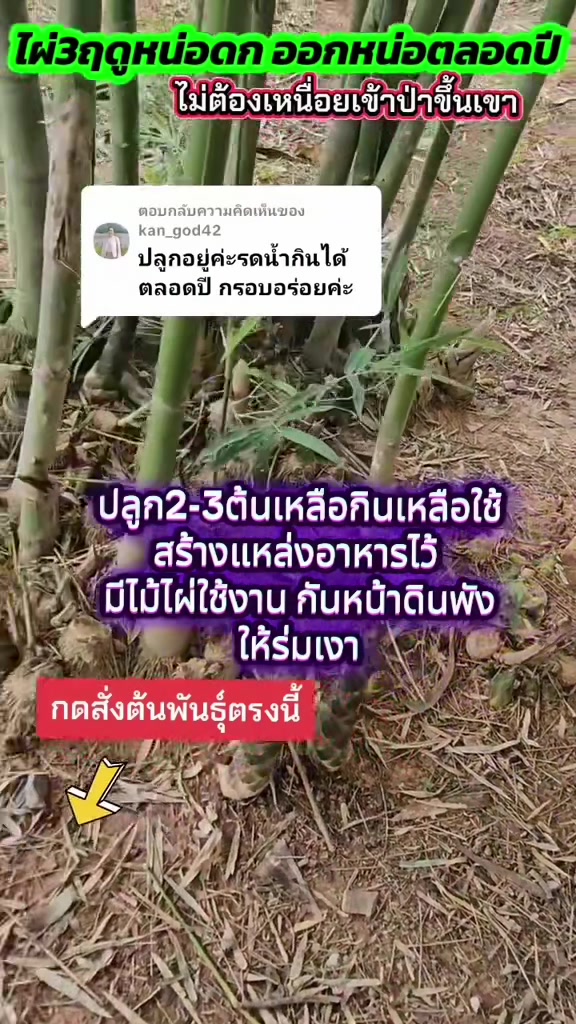 @นัดดาชอป